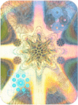 Holo Sun
