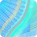 Holo Wing